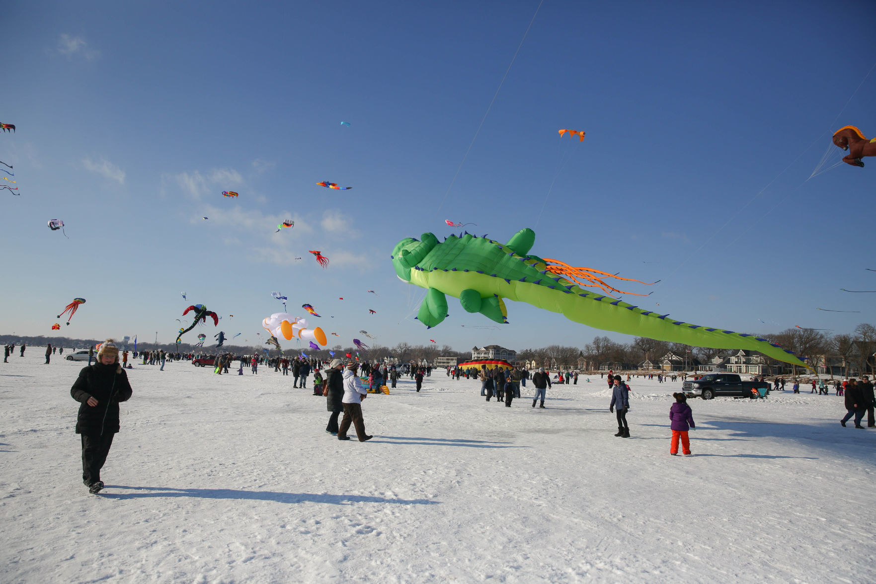 Color the Wind kite festival 02-15-2020 (2).jpg